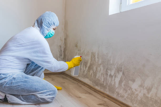 Mold inspector in Old Bridge performing thermal imaging