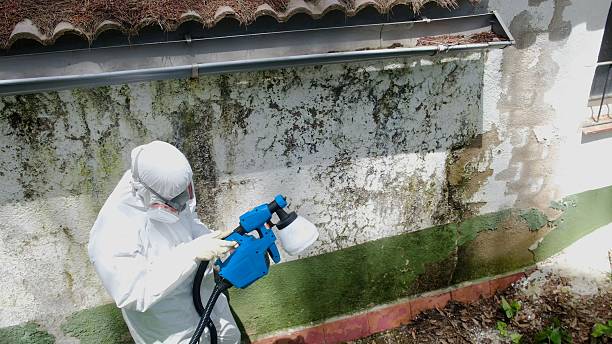 Mold Removal service in Old Bridge